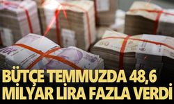 Bütçe temmuzda 48,6 milyar lira fazla verdi