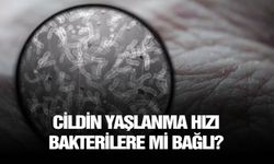 Cildin yaşlanma hızı bakterilere mi bağlı