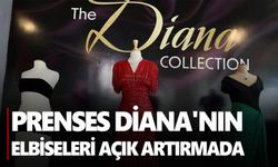 Diana’nın elbiseleri yeni sahiplerini arıyor