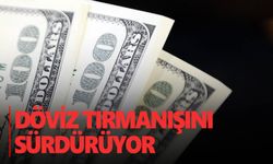 Döviz tırmanışını sürdürüyor