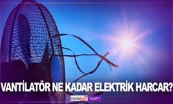 Vantilatör ne Kadar elektrik harcar? Ayaklı vantilatör 1 günde ne kadar elektrik yakar?