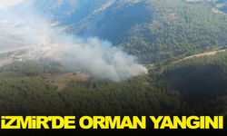 İzmir'de orman yangını: Havadan ve karadan müdahale ediliyor