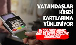 Kartlı harcamalarda artışlar hizmet, gıda ve eğitim-kırtasiye sektöründe