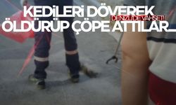 Vicdansızlar… Kedileri öldürüp çöpe attılar!