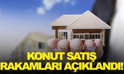 Konut satış rakamları açıklandı!