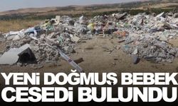 Gaziantep'te vahşet… Köpekler tarafından parçalanmış!