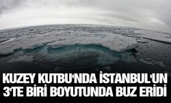 Kuzey Kutbu'nda İstanbul'un 3'te biri boyutunda buz eridi