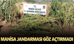 Manisa Jandarması göz açtırmadı