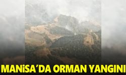 Manisa’da orman yangını başladı… Ekipler olay yerinde