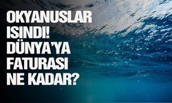 Okyanuslar ısındı! Dünya’ya faturası ne kadar?