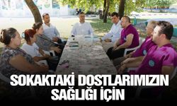 Sokaktaki dostlarımızın sağlığı için