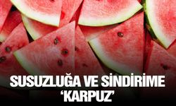 Susuzluğa ve sindirime ‘karpuz’