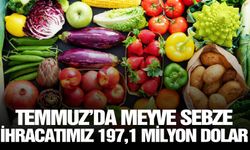 Temmuz’da meyve sebze ihracatımız 197,1 milyon dolar