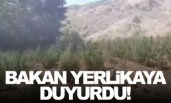 Terörün mali ayağına büyük darbe!