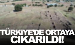 Türkiye’de ortaya çıkarıldı!