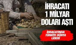 Türkiye’nin dünya lideri olduğu kuru incir, kuru üzüm ve kuru kayısı ihracatı 1 milyar doları aştı