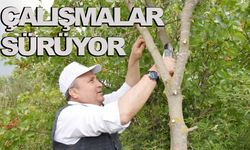 Yunusemre aşılamada hız kesmiyor