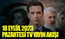 FOX TV, ATV, Kanal D, Star TV, Show TV... 18 Eylül Pazartesi TV yayın akışı | Bu akşam hangi diziler var