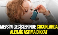 Alerjik astım mevsimsel etkileyebilir