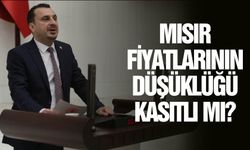 Başevirgen mısır fiyatlarını kürsüye taşıdı