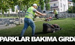 Belediyeden park ve bahçelere bakım