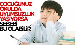 Çocuğunuz okulda uyumsuzluk yaşıyorsa dikkat!