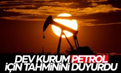 Dev kurum 2023 sonu için tahminini açıkladı