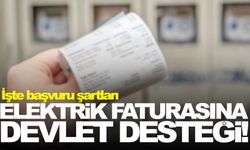 Yüksek elektrik faturasına devlet desteği!