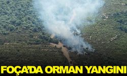 Foça’da orman yangını