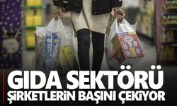 Türkiye'nin 500 büyük şirketinden 94'ü gıda sektöründen