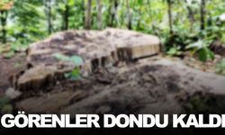 Görenler dondu kaldı!