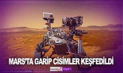 NASA'nın Perseverance gezgini Mars'ta gizemli kayalar tespit etti