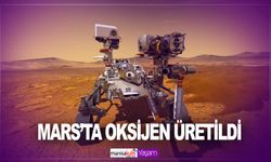 Bir köpek hayatta kalabilir! Perseverance, Mars'ta son oksijenini üretti