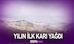 Yılın ilk karı Rize'ye yağdı