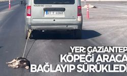 Tepki çeken görüntüler… Köpeği araca bağlayıp sürükledi