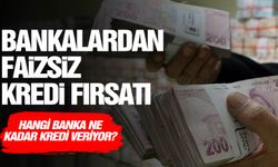 Krediye ihtiyacı olanlara müjde Sıfır faizli kredi veren bankalar