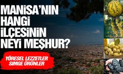 Manisa ilçelerinin meşhurları