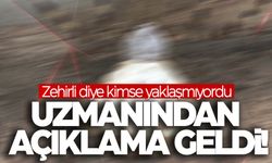 Son günlerde Türkiye’nin her yerinde görülüyordu… Açıklama geldi!