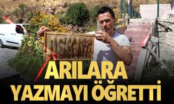 Öğrenciler okula, arılar tatile çıktı