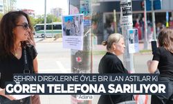 Şehrin direklerine asılan ilanları gören telefona sarılıyor!