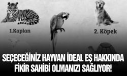 Sizin ideal eşiniz hangisi