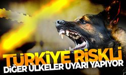 Türkiye kuduz için ‘en riskli ülkeler’ kategorisine alındı