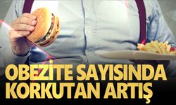 Uzmanlardan giderek büyüyen sağlık sorunu obezite hakkında uyarı