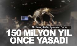 150 milyon yıllık… Dudak uçuklatan fiyata satıldı!