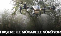 Büyükşehir drone ile haşere avlıyor!