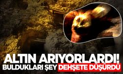 Altın arayan defineciler bakın ne buldu! Bütün şehir çalkalanıyor