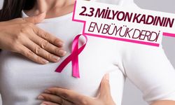 Dünyada 2.3 milyon kadın meme kanseri