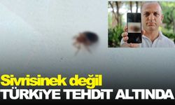 Geceleri saklanıyorlar, insanın uyumasını bekleyip kanını emiyorlar