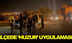 'Güven ve Huzur' uygulamasında 9 kişi yakalandı