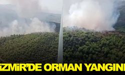 İzmir’deki orman yangınına havadan ve karadan müdahale